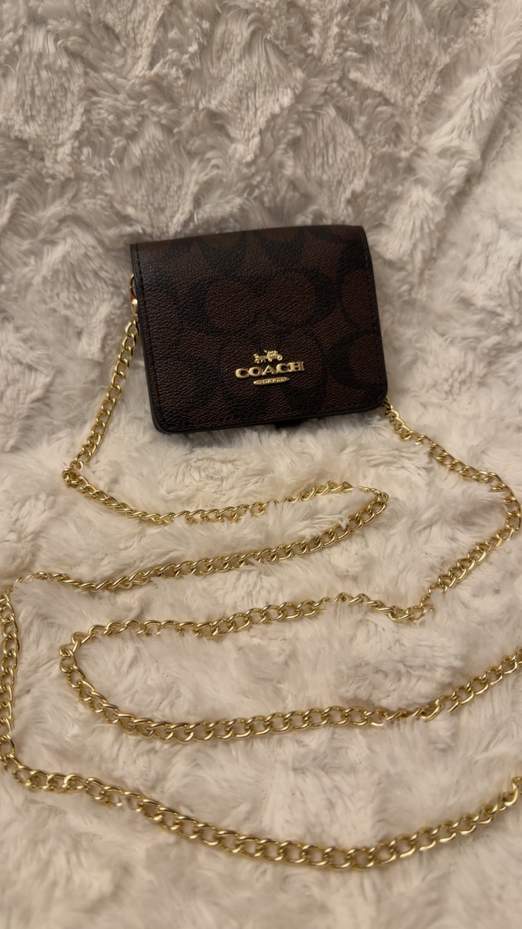 Mini Chain Crossbody