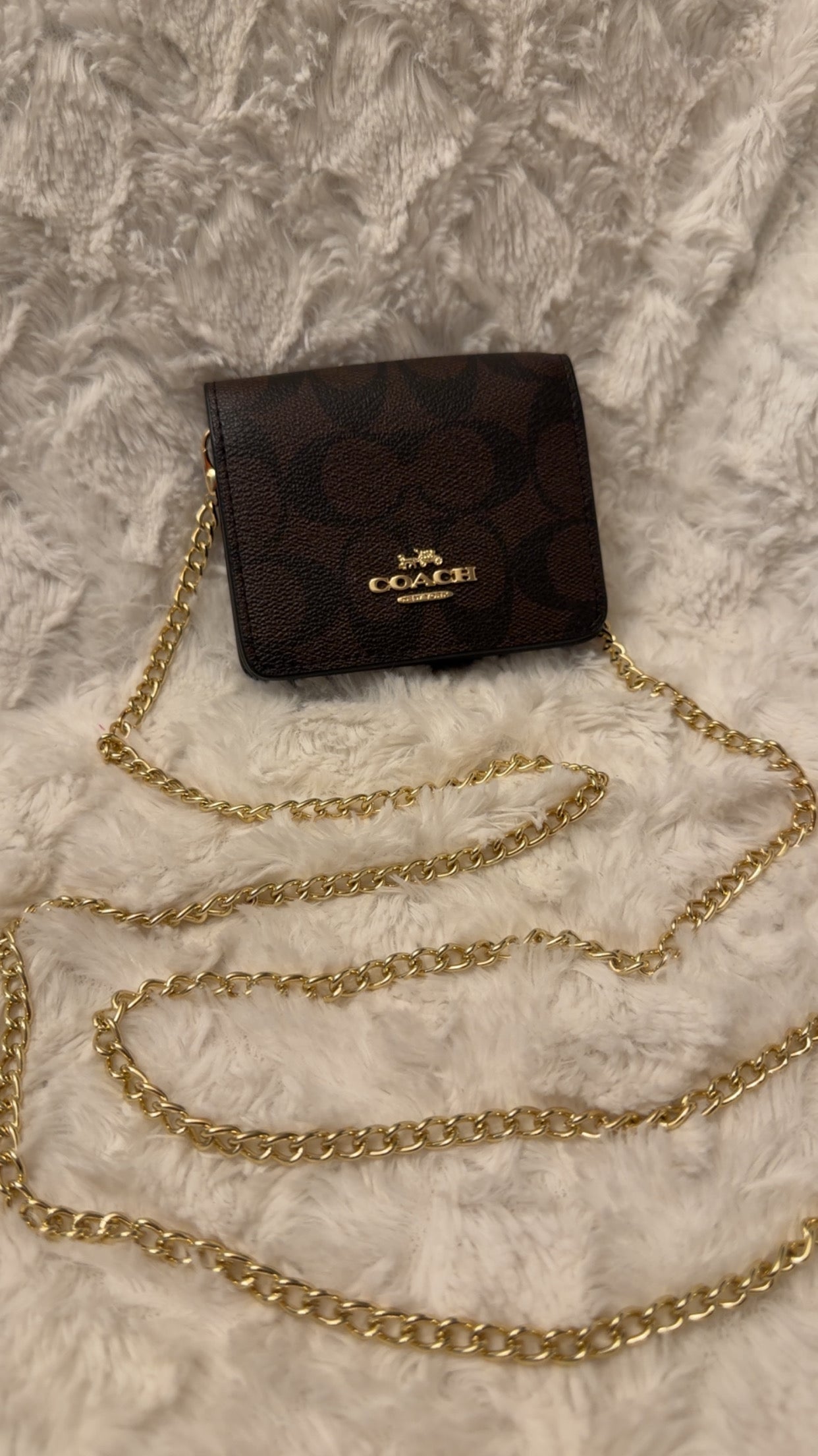 Mini Chain Crossbody